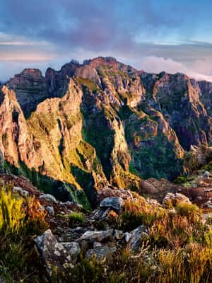 billede nr.2 af aktiviteten Madeira: Solopgangsvandring Transfer til Pico do Arieiro (PR1) i Madeira, uploadet af udbyder