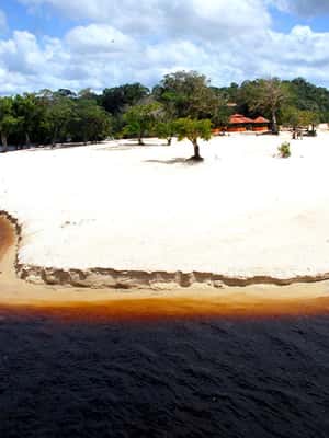 imagen n.º 2 de Manaus : Safari por el Archipiélago de Anavilhanas actividad en Región Norte, subida por el proveedor