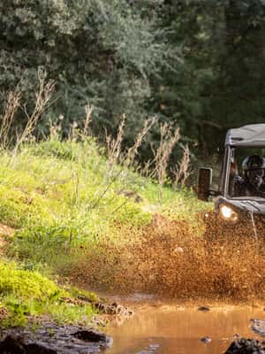 Porto: Extreme Tour by Oporto Buggy