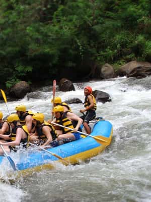 image n.2 of Bali: Ayung River White Water Rafting Adventure activity in Bali, uploaded by supplier