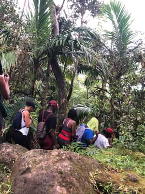image n.2 of Hike St. Kitts: Highest peak Mount Liamuiga Volcano activity in Nevis, uploaded by supplier