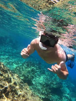 image n.2 of Paphos: Turtle-Watching Snorkeling Sea Scooter Trip activity in Paphos, uploaded by supplier