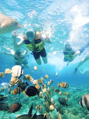 Obraz nr 2 z atrakcji Ekskluzywna jednodniowa wycieczka na różową plażę Lombok i 3 Gilis w Indonezja, przesłany przez organizatora