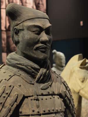 image n.2 of Xi'an: Terracotta Army, Big Wild Goose Pagoda & City Wall activity in Xi'an, uploaded by supplier