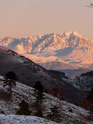 아브루초에서 아브루초, 라치오 및 몰리세 국립공원: 트레킹 & 야생동물. 액티비티의 2번 이미지, 공급업체 업로드