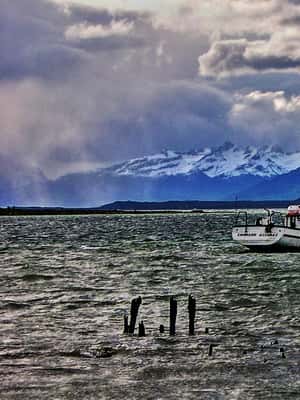 imagem n.2 de Ushuaia: Passeio de barco pelo Canal de Beagle e experiência com pinguins atividade em Terra do Fogo, carregada pelo fornecedor