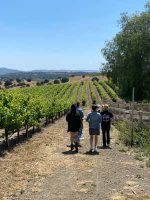 image n.2 of Santa Barbara: Wine Country Tour with Lunch activity in Santa Barbara, uploaded by supplier