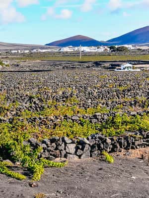 Bild Nr. 2 von Lanzarote: Vulkane von Timanfaya und Höhlen Tour mit Mittagessen Aktivität in Haría, hochgeladen vom Anbieter