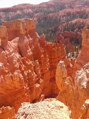 image n.2 of Small Group Tour Zion & Bryce Canyon National from Las Vegas activity in Utah, uploaded by supplier