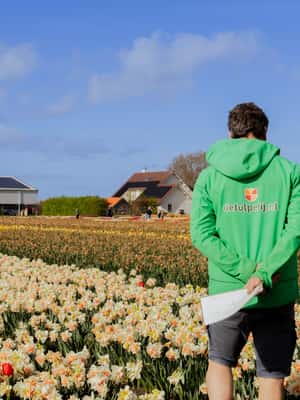 image n.2 of Amsterdam: Tulip Farm Visit, Keukenhof, and Windmill Cruise activity in Voorhout, The Netherlands, uploaded by supplier