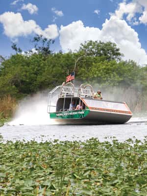 image n.2 of Miami: Wild Everglades Airboat Ride and Gator Encounters activity in Miami, uploaded by supplier