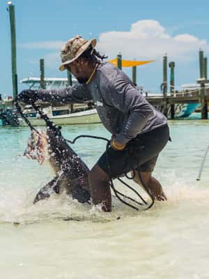 Image N°2 de Nassau : Excursion d'une journée en bateau à moteur à Exuma activité à Nassau, Bahamas, publiée par le prestataire