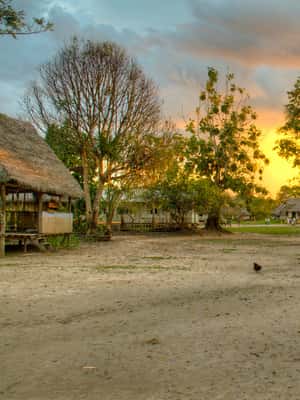 image n.2 of Iquitos | Amazon Tour | 4D/3N in Amazon Rainforest Jungle activity in Huanuco Region, uploaded by supplier