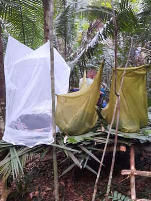 imagen n.º 2 de Manaos: 2, 3 ó 4 días en la Experiencia Supervivencia Amazónica actividad en Manaos, subida por el proveedor