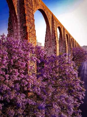 imagem n.2 de DE CDMX e PUEBLA: Queretaro, Guanajuato, Hidalgo, Morelia 4 DIAS atividade em Guanajuato, carregada pelo fornecedor