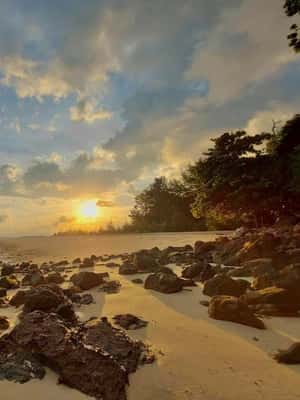image n.2 of From Krabi: Phi Phi Early Bird & 4 Islands by Speedboat activity in Ao Nang, uploaded by supplier
