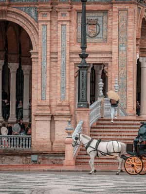 зображення №2 активності «Мадрид: 5-денний тур по Андалусії та Толедо» в такій локації: Барселона, завантажене постачальником