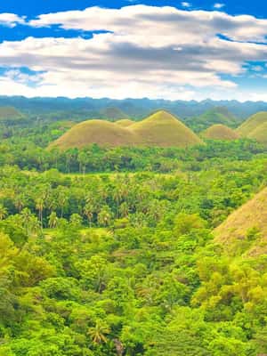 imagem n.2 de De Bohol: Excursão privada de um dia pelo campo atividade em Visayas, carregada pelo fornecedor