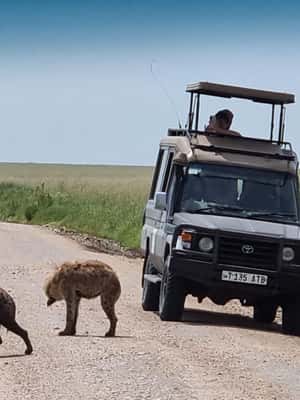 image n.2 of Serengeti: 3-Day Migration Safari with Hot Air Balloon Ride activity in Mara Region, uploaded by supplier
