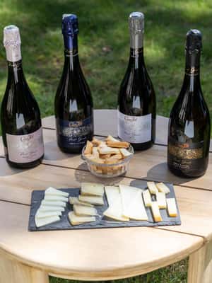 รูปภาพที่ 2 จาก บาร์เซโลนา: Cavas Hill - ทัวร์โรงไวน์และชิมชีส กิจกรรมใน คาตาลัน อัปโหลดโดยซัพพลายเออร์