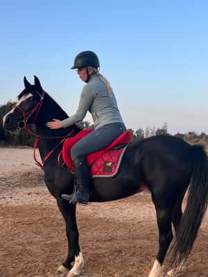 image n.2 of Hurghada: Desert and Beach Horse Riding Adventure activity in Hurghada, uploaded by supplier