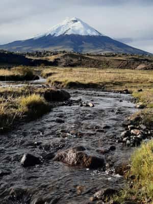 Immagine nº 2 di Vulcano Cotopaxi: escursione a cavallo di un'intera giornata per principianti attività a Cantone di Latacunga, caricata dal fornitore