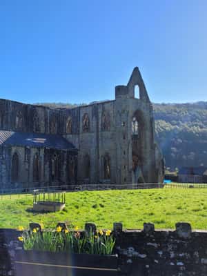 image n.2 of From Cardiff: Guided Tour of Welsh Valleys activity in Tintern, uploaded by supplier