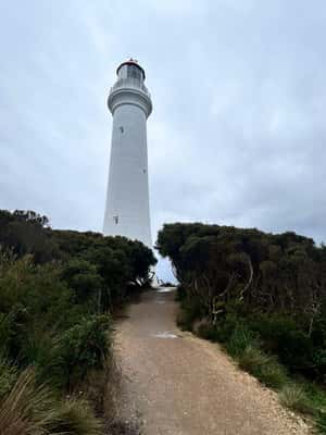 imagem n.2 de De Melbourne: Tour particular pelos 12 apóstolos e pela Great Ocean Road atividade em Melbourne, carregada pelo fornecedor