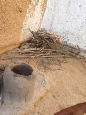 image n.2 of From Yasmine Hammamet/Kantaoui: 2-Day Sahara Tour with Meals activity in Tozeur Governorate, uploaded by supplier