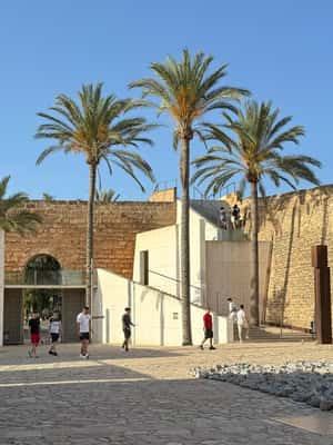 bild nr.2 av Rundtur i Palmas gamla stad aktivitet i Palma de Mallorca, uppladdad av arrangören