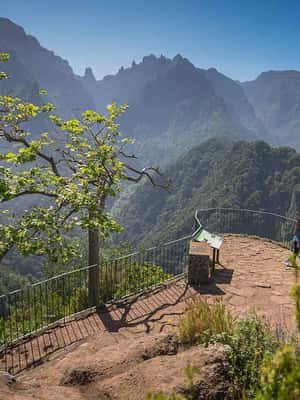 image n.2 of Madeira Funchal:East Tour Pico Arieiro & Santana&Laurissilva activity in Faial, uploaded by supplier