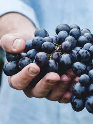 image n.2 of Private Full Day Évora, Monsaraz, and Winery Day Trip activity in Evora, uploaded by supplier