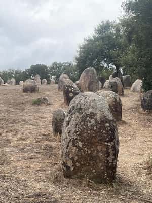 imagem n.2 de Évora: Cromeleque dos Almendres e Anta Grande do Zambujeiro atividade em Distrito de Évora, carregada pelo fornecedor
