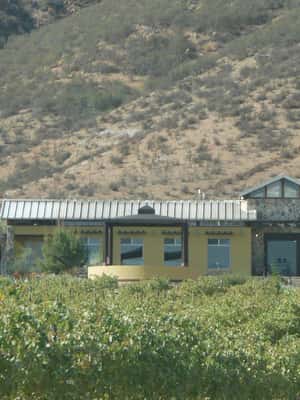 image n.2 of Ensenada: Guadalupe Valley Wine Route Private Tour activity in Ensenada, uploaded by supplier