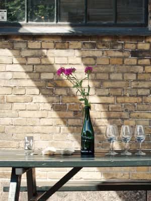 image n.2 of Copenhagen: Locally Brewed Kombucha Tasting Experience activity in Copenhagen, uploaded by supplier