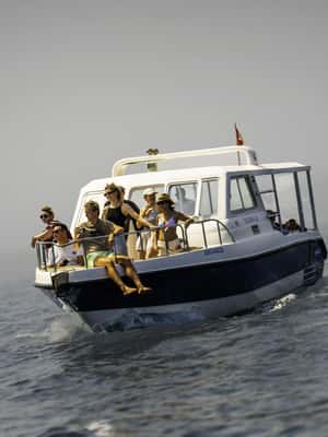Immagine nº 2 di Muscat: gita in barca per l'osservazione dei delfini con snack e guida locale attività a Mascate, caricata dal fornitore