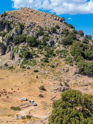 image n.2 of Orgosolo Experience: Murals and Culture with a typical Lunch activity in Sardinia, uploaded by supplier