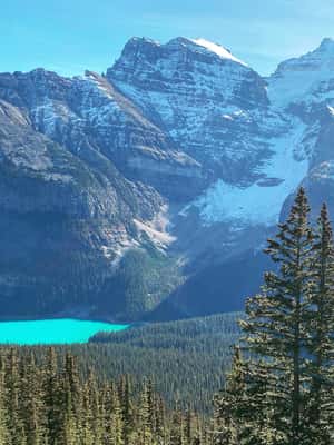 image n.2 of From Banff: Shuttle to Moraine Lake and Lake Louise activity in Lake Louise, Alberta, uploaded by supplier