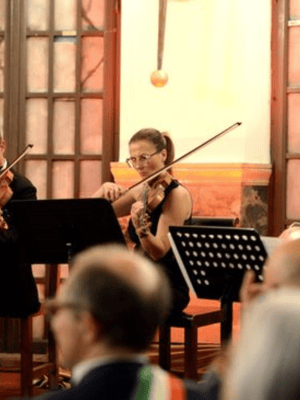 Immagine nº 2 di Concerto d'opera nel Palazzo di Verona con Prosecco attività a Verona, caricata dal fornitore