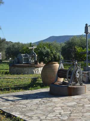 Obraz nr 2 z atrakcji Nafplio: Wycieczka po gospodarstwie oliwnym i degustacja oliwy z oliwek w Peloponez, przesłany przez organizatora