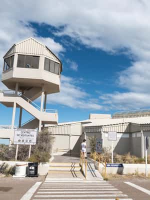 Bild Nr. 2 von Kreuzfahrt Landausflug Peninsula Valdes - Box Lunch inbegriffen Aktivität in Chubut Provinz, hochgeladen vom Anbieter