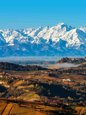billede nr.2 af aktiviteten Fra Milano: Barolo-vinsmagning, Alba-tur og slotsbesøg i Milano, uploadet af udbyder