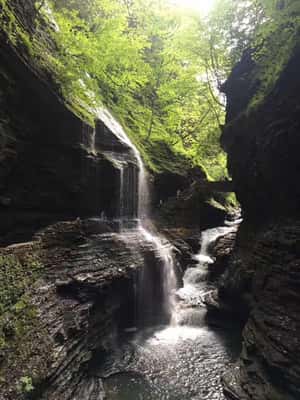 NYC: Philadelphia, Washington DC & Niagara Falls 3-Day Trip