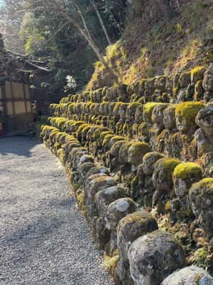 image n.2 of Kyoto Custom Private Walking Tour with Licensed Guide (4/8h) activity in Kyoto, uploaded by supplier