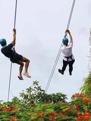 billede nr.2 af aktiviteten Río Grande: Zipline-oplevelse i regnskoven i Río Grande, Puerto Rico, uploadet af udbyder