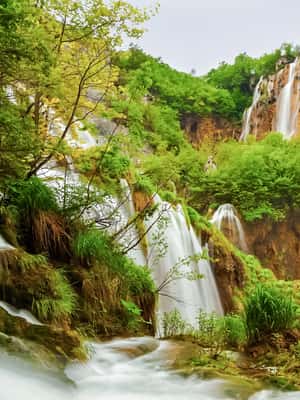 image n.2 of Plitvice Lakes: Guided Walking Tour with Train and Boat Ride activity in Zagreb County, uploaded by supplier