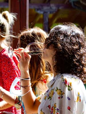 Bild Nr. 2 von La Rioja: Bodegas Altanza Aktivität in La Rioja, hochgeladen vom Anbieter