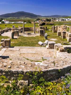 image n.2 of Private DayTrip from Tunis: Dougga and Bulla Regia activity in Jendouba Governorate, uploaded by supplier