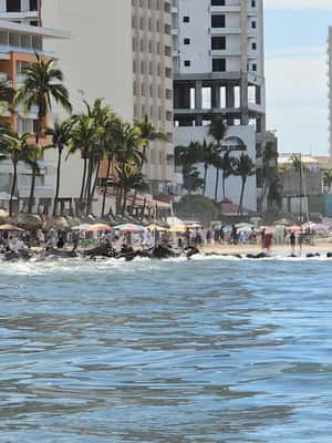 Εικόνα 2 από Mazatlan: θαλάσσια λιοντάρια και κολύμπι με αναπνευστήρα δραστηριότητα σε Μαζατλάν, ανέβηκε από πάροχο