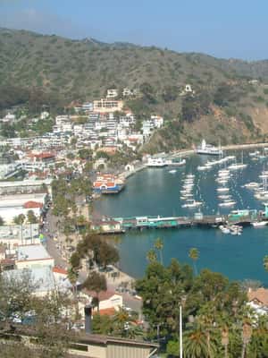 imagen n.º 2 de Excursión por la ciudad de la Isla Catalina y el monte Ada actividad en Avalon, subida por el proveedor